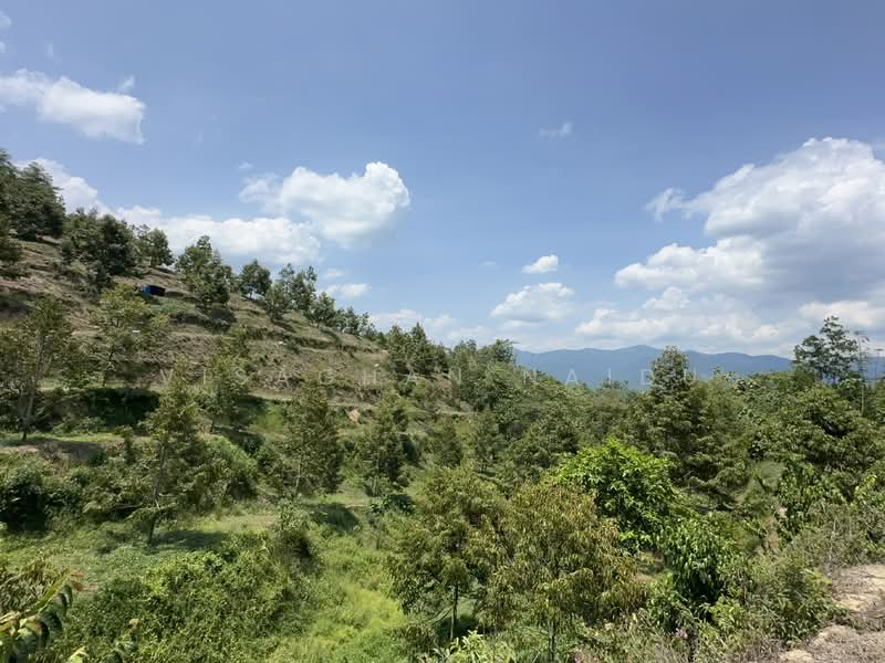 Agricultural Land for Sale in Kampung Pantai (Pantai) - Visaghan Naidu - Exterior - PropertyGuru.com.my