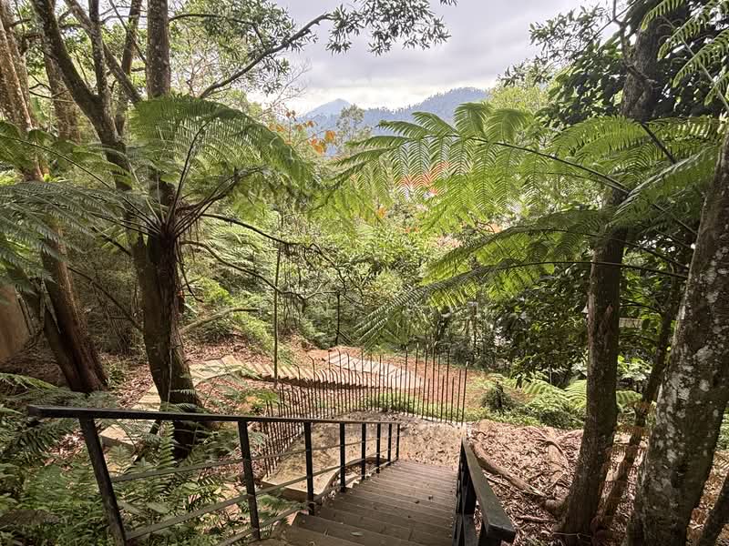 Apartment for Sale at Kempas Apartment - Weini Soh - Jungle Trekking - PropertyGuru.com.my