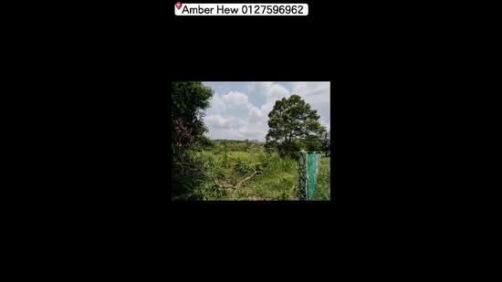 Agricultural Land for Sale in Sungai Tiram (Ulu Tiram) - Amber Hew - PropertyGuru.com.my