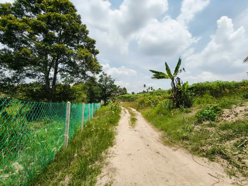 Agricultural Land for Sale in Sungai Tiram (Ulu Tiram) - Amber Hew - Garden - PropertyGuru.com.my