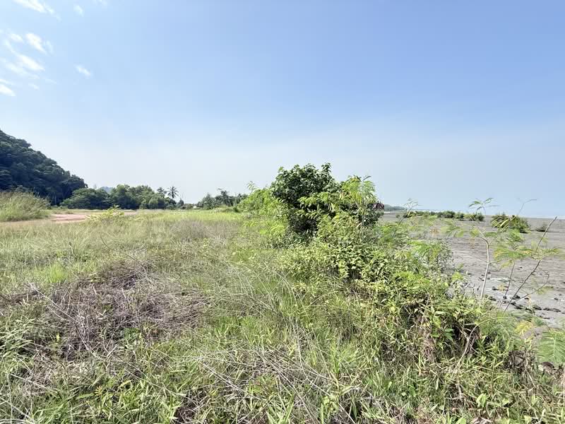 Tanah Pertanian untuk Dijual di Kampung Baru Pulau Sayak (Bukit Meriam) - Hasnizam . - Exterior - PropertyGuru.com.my