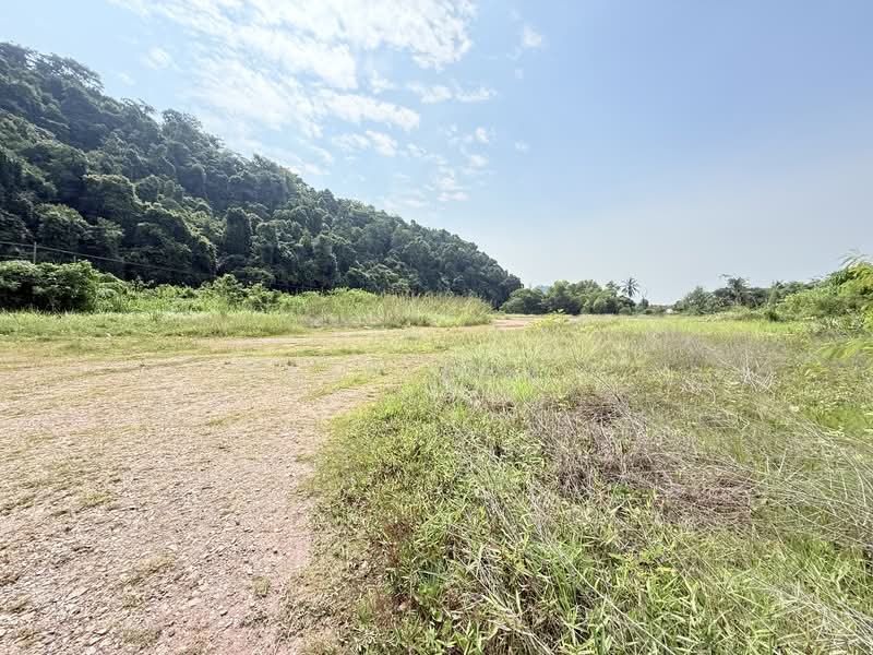 Tanah Pertanian untuk Dijual di Kampung Baru Pulau Sayak (Bukit Meriam) - Hasnizam . - Exterior - PropertyGuru.com.my