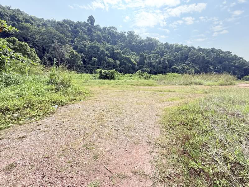 Tanah Pertanian untuk Dijual di Kampung Baru Pulau Sayak (Bukit Meriam) - Hasnizam . - Exterior - PropertyGuru.com.my