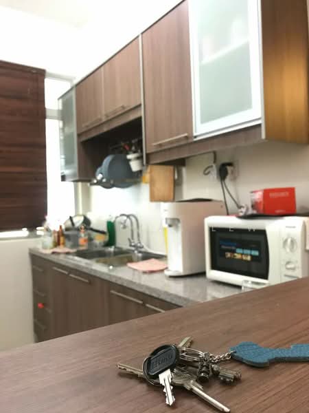 Townhouse for Rent in Seri Kembangan (Selangor) - Nicholas Lew - Kitchen - PropertyGuru.com.my