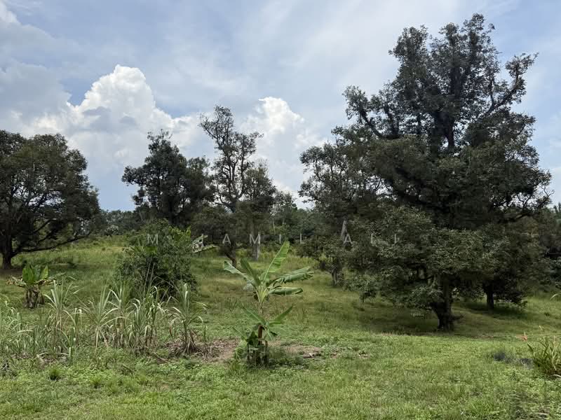 Industrial Land for Sale in Kuala Kubu Bharu (Selangor) - M Jamil Ali - Exterior - PropertyGuru.com.my