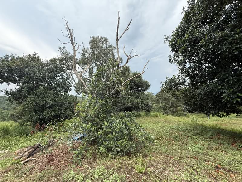 Industrial Land for Sale in Kuala Kubu Bharu (Selangor) - M Jamil Ali - Exterior - PropertyGuru.com.my