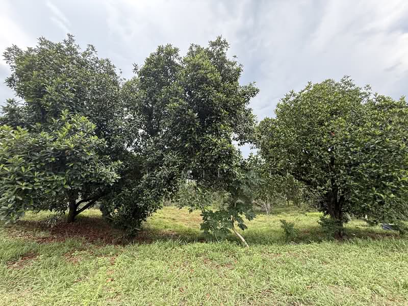 Industrial Land for Sale in Kuala Kubu Bharu (Selangor) - M Jamil Ali - Exterior - PropertyGuru.com.my