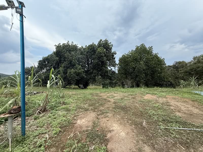 Industrial Land for Sale in Kuala Kubu Bharu (Selangor) - M Jamil Ali - Exterior - PropertyGuru.com.my