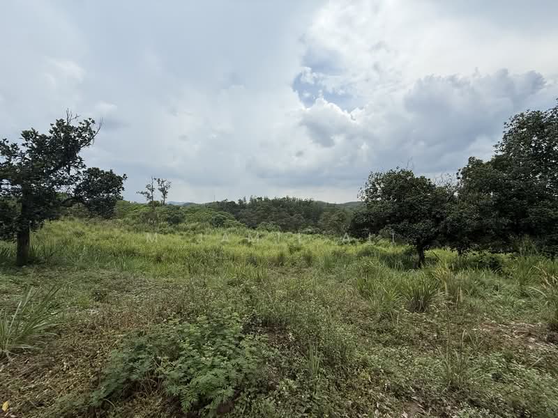 Industrial Land for Sale in Kuala Kubu Bharu (Selangor) - M Jamil Ali - Garden - PropertyGuru.com.my
