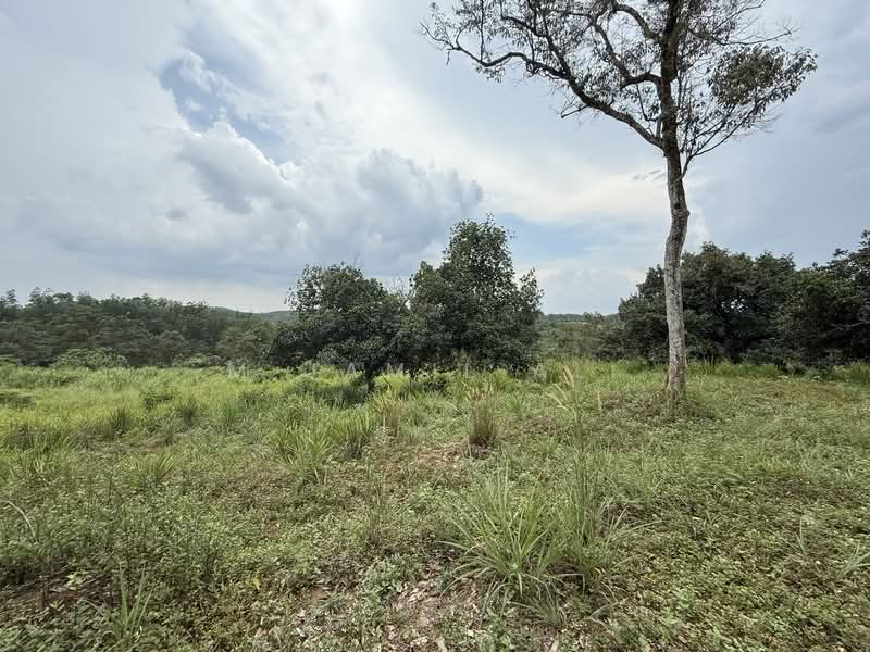 Industrial Land for Sale in Kuala Kubu Bharu (Selangor) - M Jamil Ali - Exterior - PropertyGuru.com.my