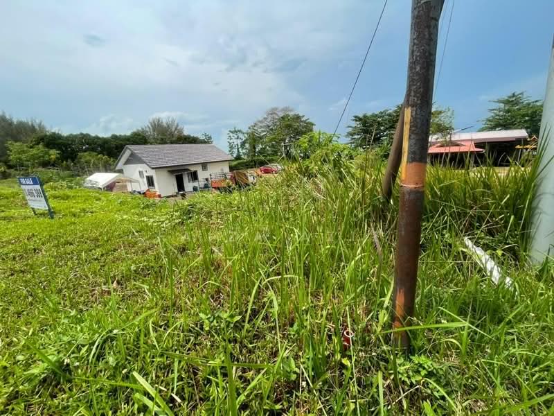 Agricultural Land for Sale in Kampung Telok Gong (Kuala Sungai Baru) - Faiza Aziz - Exterior - PropertyGuru.com.my