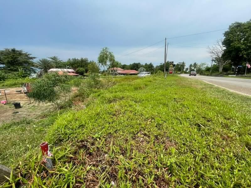 Agricultural Land for Sale in Kampung Telok Gong (Kuala Sungai Baru) - Faiza Aziz - Exterior - PropertyGuru.com.my