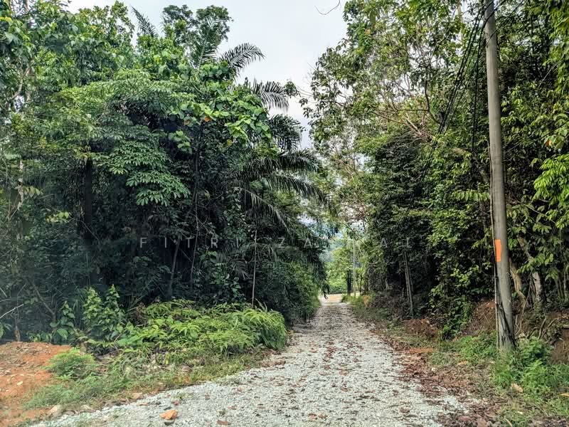 Agricultural Land for Sale in Sungai Merab (Dengkil) - Fitri Zainal - Exterior - PropertyGuru.com.my