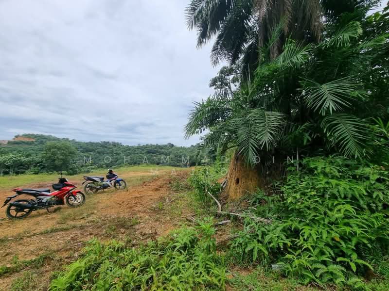 Agricultural Land for Sale in Puncak Alam (Selangor) - Mohammad Din Majid - PropertyGuru.com.my