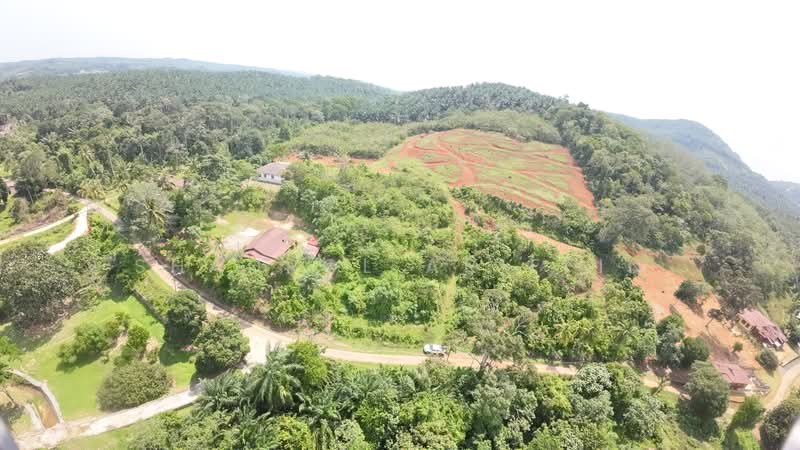 Tanah Pertanian untuk Dijual di Kampung Ulu (Brisu) - Shahrol Ariffin - Exterior - PropertyGuru.com.my