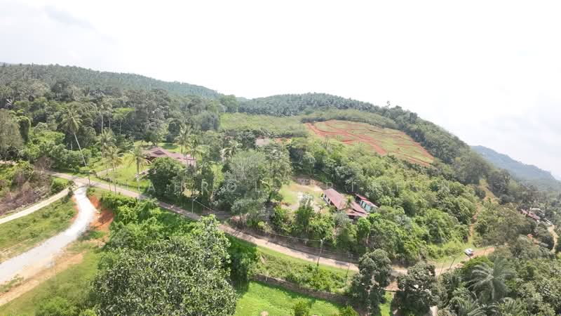 Tanah Pertanian untuk Dijual di Kampung Ulu (Brisu) - Shahrol Ariffin - Exterior - PropertyGuru.com.my