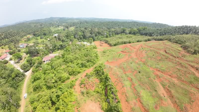 Tanah Pertanian untuk Dijual di Kampung Ulu (Brisu) - Shahrol Ariffin - Exterior - PropertyGuru.com.my