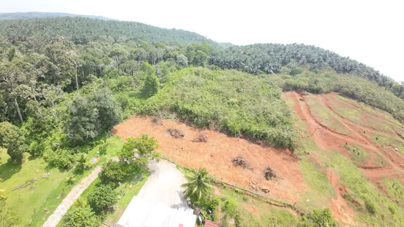 Tanah Pertanian untuk Dijual di Kampung Ulu (Brisu) - Shahrol Ariffin - Exterior - PropertyGuru.com.my