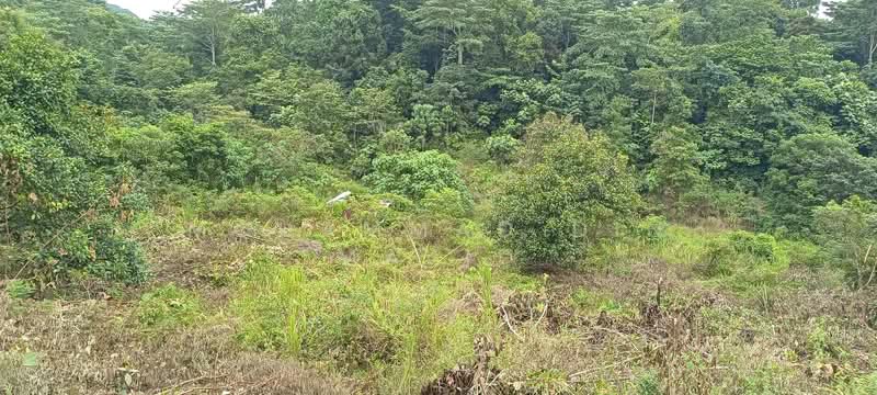 Agricultural Land for Sale in Beranang (Selangor) - Mohammad Din Majid - PropertyGuru.com.my