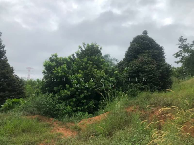 Agricultural Land for Sale in Beranang (Selangor) - Mohammad Din Majid - PropertyGuru.com.my