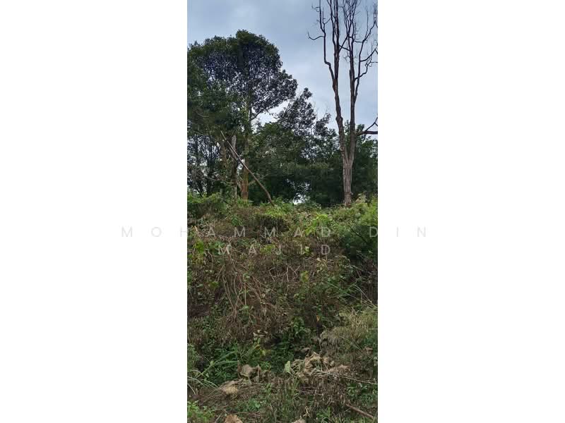 Agricultural Land for Sale in Beranang (Selangor) - Mohammad Din Majid - PropertyGuru.com.my