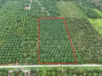 For Sale - Sabak Bernam