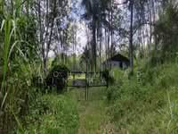 For Sale - Batang Kali