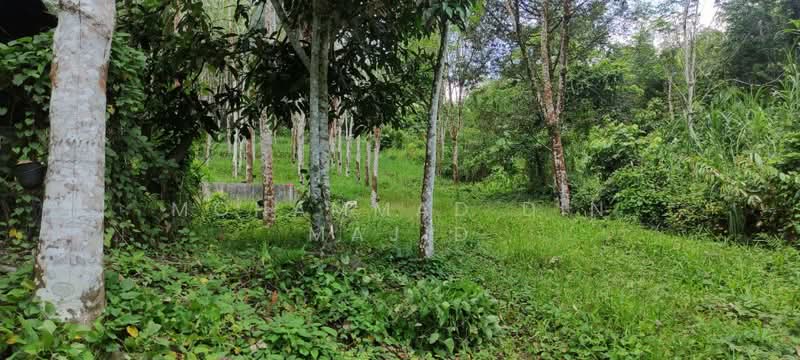 Agricultural Land for Sale in Batang Kali (Selangor) - Mohammad Din Majid - PropertyGuru.com.my