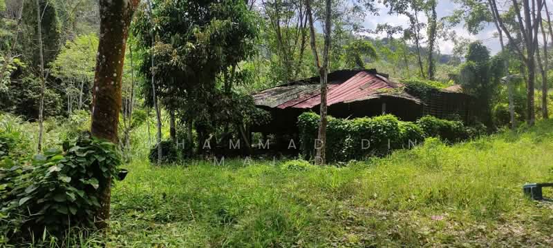 Agricultural Land for Sale in Batang Kali (Selangor) - Mohammad Din Majid - PropertyGuru.com.my