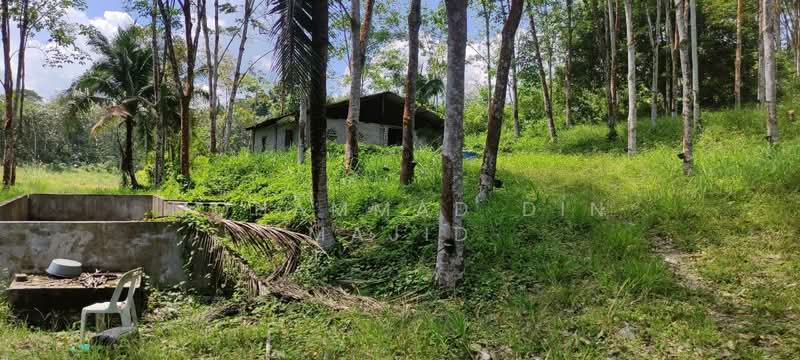 Agricultural Land for Sale in Batang Kali (Selangor) - Mohammad Din Majid - PropertyGuru.com.my