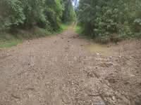 For Sale - Batang Kali