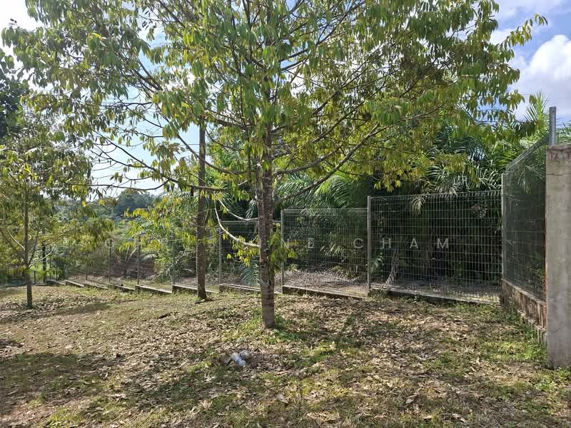 Agricultural Land for Sale in Sungai Tiram (Ulu Tiram) - Christine Cham - Exterior - PropertyGuru.com.my