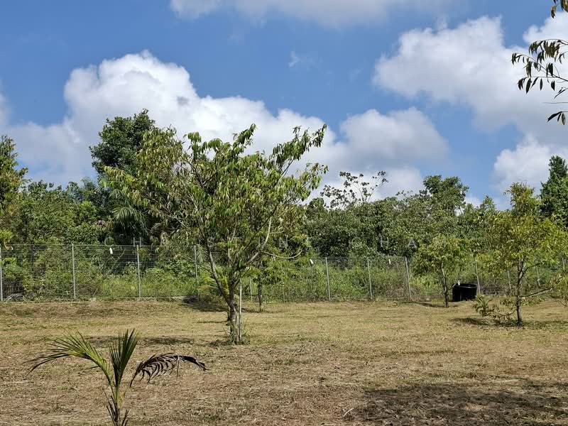Agricultural Land for Sale in Sungai Tiram (Ulu Tiram) - Christine Cham - Exterior - PropertyGuru.com.my