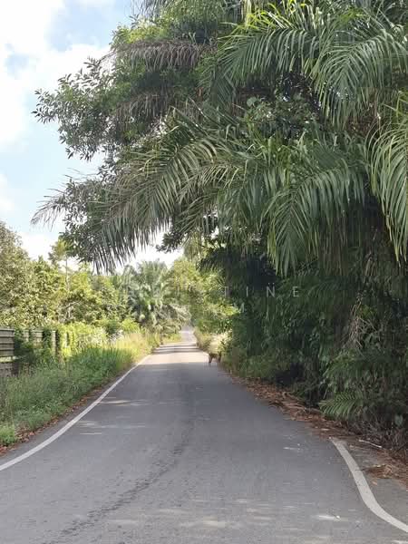 Agricultural Land for Sale in Sungai Tiram (Ulu Tiram) - Christine Cham - Exterior - PropertyGuru.com.my