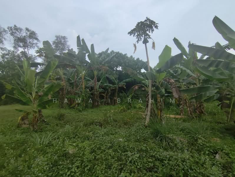 Residential Land for Sale in Dengkil (Selangor) - Hawa Ibrahim - Garden - PropertyGuru.com.my