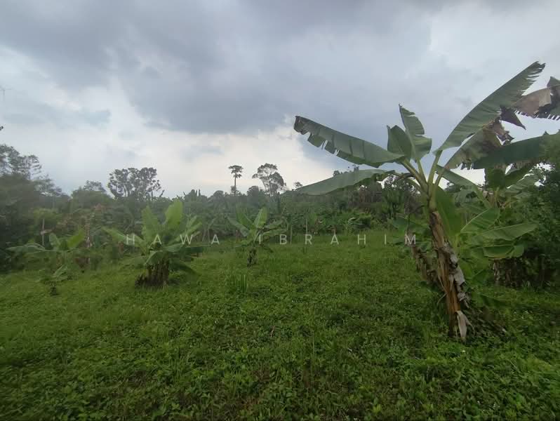 Residential Land for Sale in Dengkil (Selangor) - Hawa Ibrahim - Garden - PropertyGuru.com.my