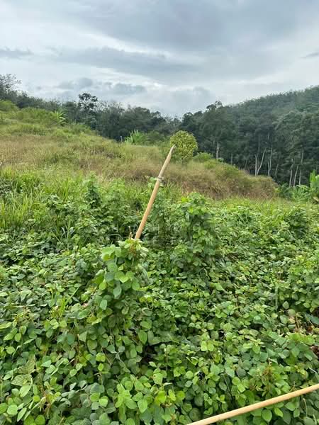 Tanah Pertanian untuk Dijual di Kuala Klawang (Negeri Sembilan) - Shahrol Ariffin - Exterior - PropertyGuru.com.my