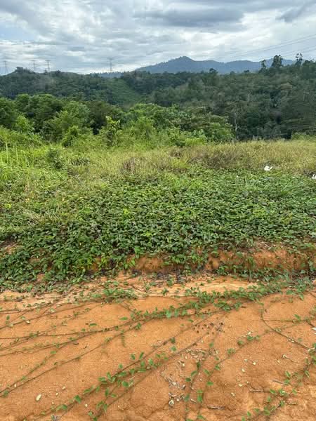 Tanah Pertanian untuk Dijual di Kuala Klawang (Negeri Sembilan) - Shahrol Ariffin - Exterior - PropertyGuru.com.my