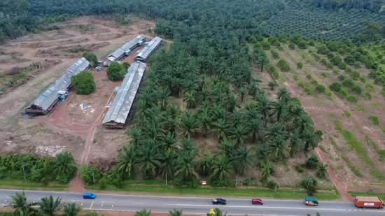 Tanah Pertanian untuk Dijual di Yong Peng (Johor) - Karen Sia - PropertyGuru.com.my
