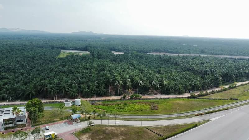 Tanah Pertanian untuk Dijual di Kampung Parit Mahang (Ijok) - NIK AZWAN - Exterior - PropertyGuru.com.my