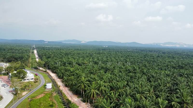 Tanah Pertanian untuk Dijual di Kampung Parit Mahang (Ijok) - NIK AZWAN - PropertyGuru.com.my
