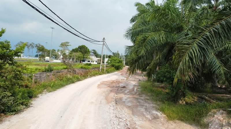 Tanah Pertanian untuk Dijual di Kampung Parit Mahang (Ijok) - NIK AZWAN - PropertyGuru.com.my