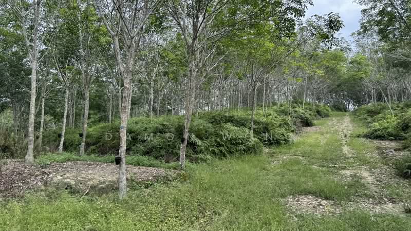 Agricultural Land for Sale in Karak (Pahang) - Damon Wong - Exterior - PropertyGuru.com.my
