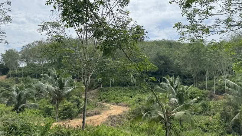Agricultural Land for Sale in Karak (Pahang) - Damon Wong - Exterior - PropertyGuru.com.my