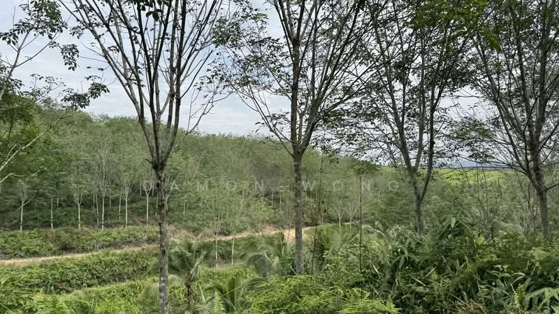 Agricultural Land for Sale in Karak (Pahang) - Damon Wong - Exterior - PropertyGuru.com.my