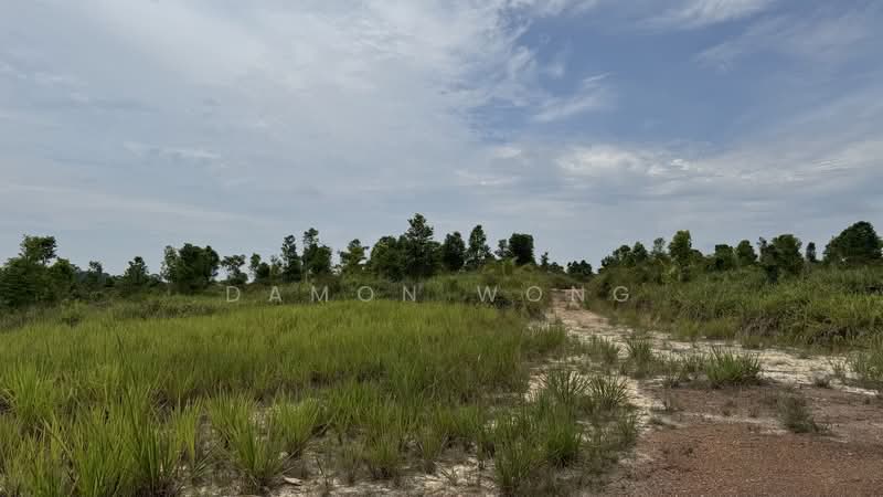 Agricultural Land for Sale in Karak (Pahang) - Damon Wong - Exterior - PropertyGuru.com.my