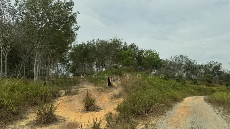 Agricultural Land for Sale in Karak (Pahang) - Damon Wong - Exterior - PropertyGuru.com.my