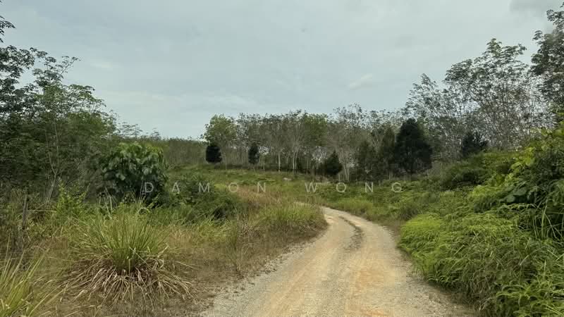Agricultural Land for Sale in Karak (Pahang) - Damon Wong - Exterior - PropertyGuru.com.my