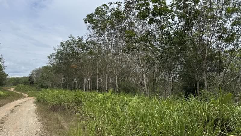 Agricultural Land for Sale in Karak (Pahang) - Damon Wong - Exterior - PropertyGuru.com.my