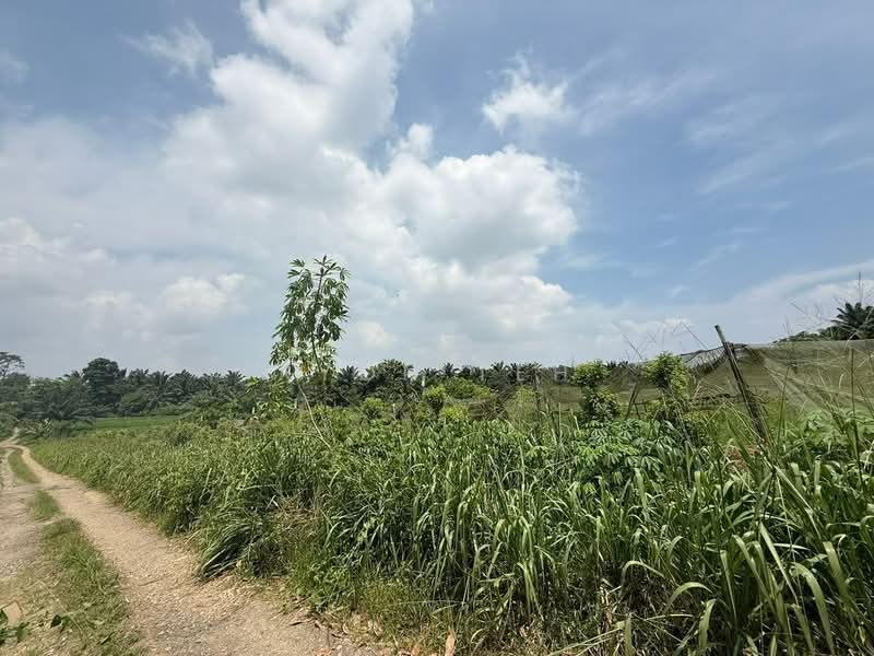 Agricultural Land for Sale in Taman Desa Cemerlang (Ulu Tiram) - Ryon Teh - Exterior - PropertyGuru.com.my